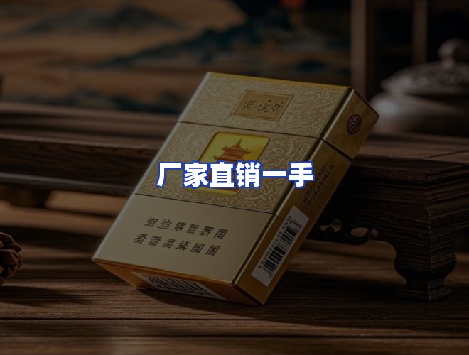 专业团队